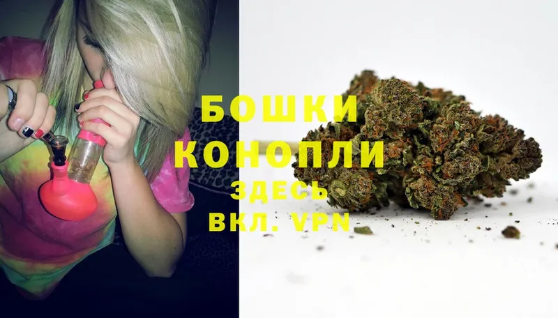 Шишки марихуана OG Kush  где купить   Ахтубинск 